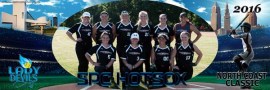 SPC Hotsox 16u